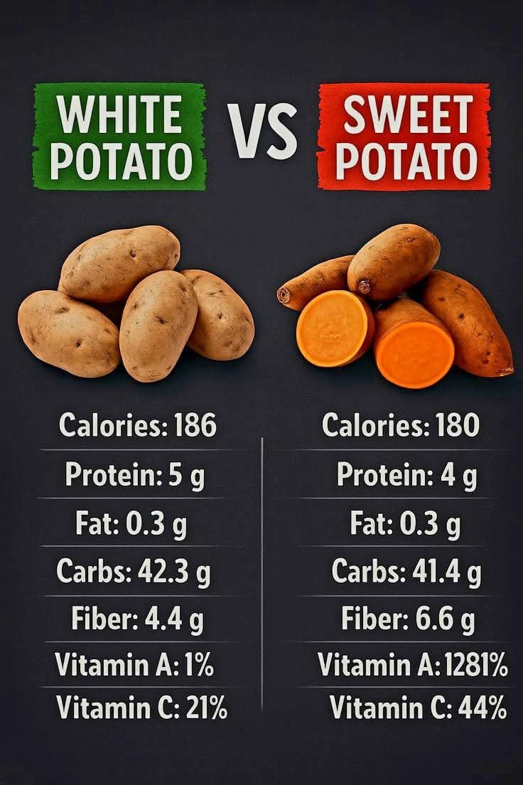 health-support-1.jpeg
