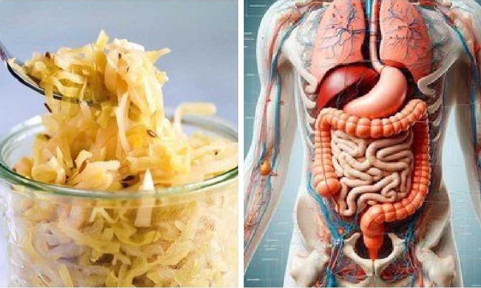 The-7-healthiest-foods-you-need-in-your-diet