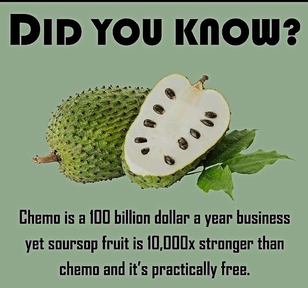 soursop-or-guanabana-and-has-been-proven-to-be-10000-times-more-effective-than-chemotherapy