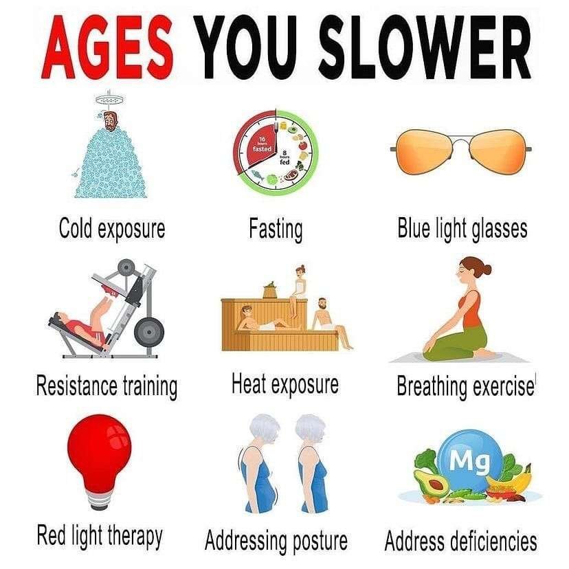 Lifestyle-Habits-That-May-Help-Slow-Aging