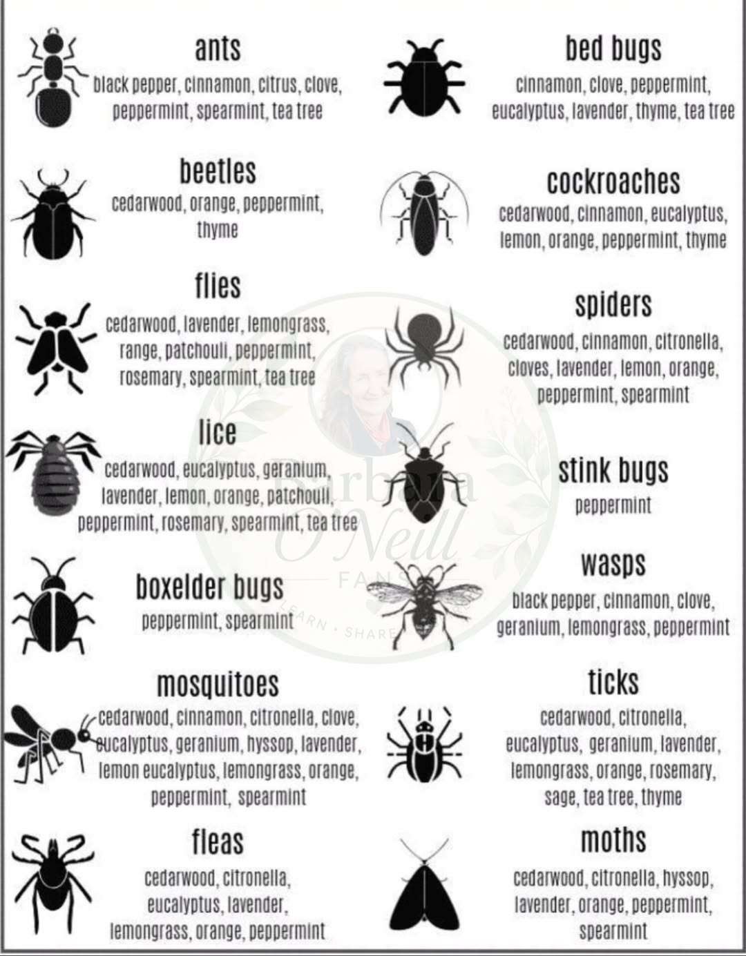 Natural-Oils-vs.-Insects